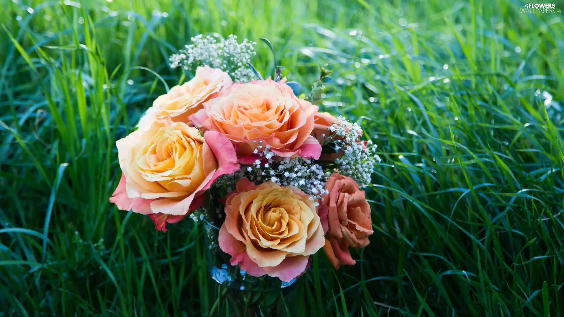 grass, roses, bouquet