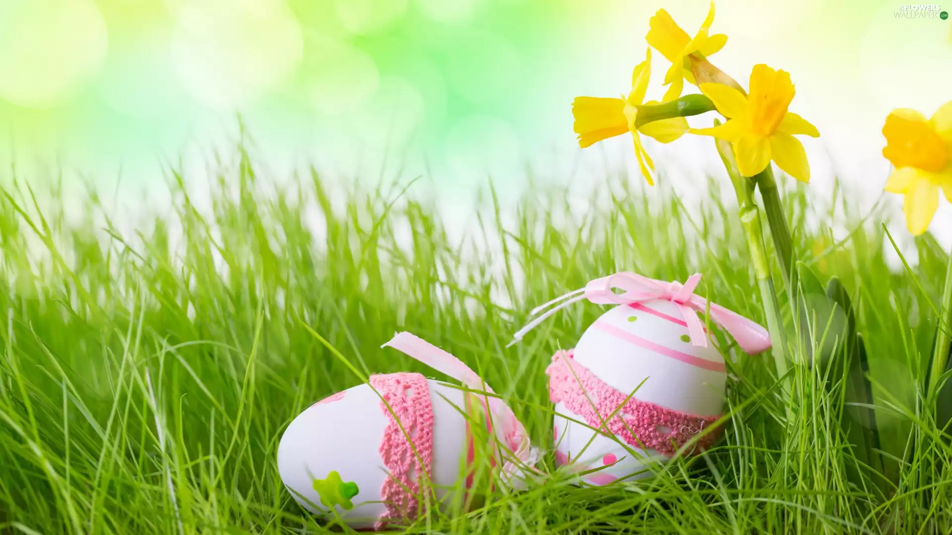 Easter, Daffodils, grass, eggs
