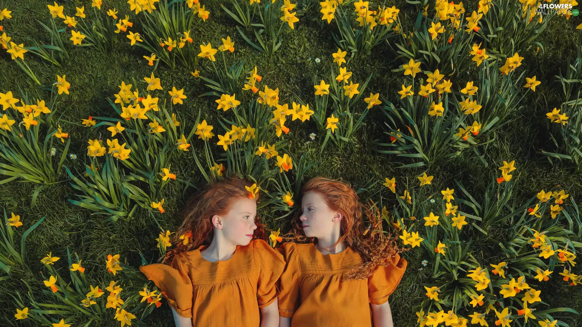 freckles, Hair, Jonquil, red head, girls, Flowers, grass