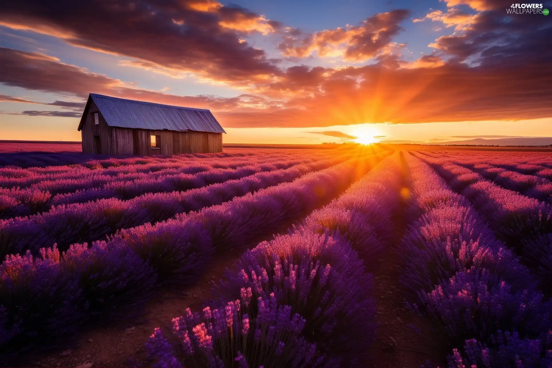 house, Field, clouds, Great Sunsets, Sky, lavender