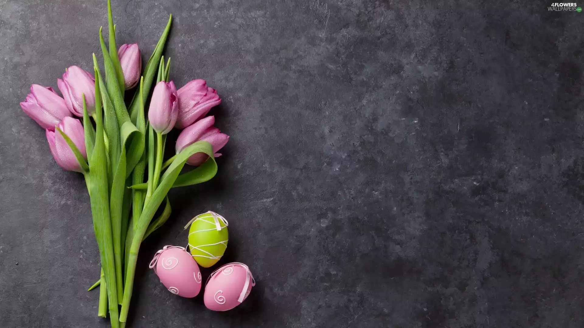 Tulips, Easter, eggs, Grey Background, Three, Pink