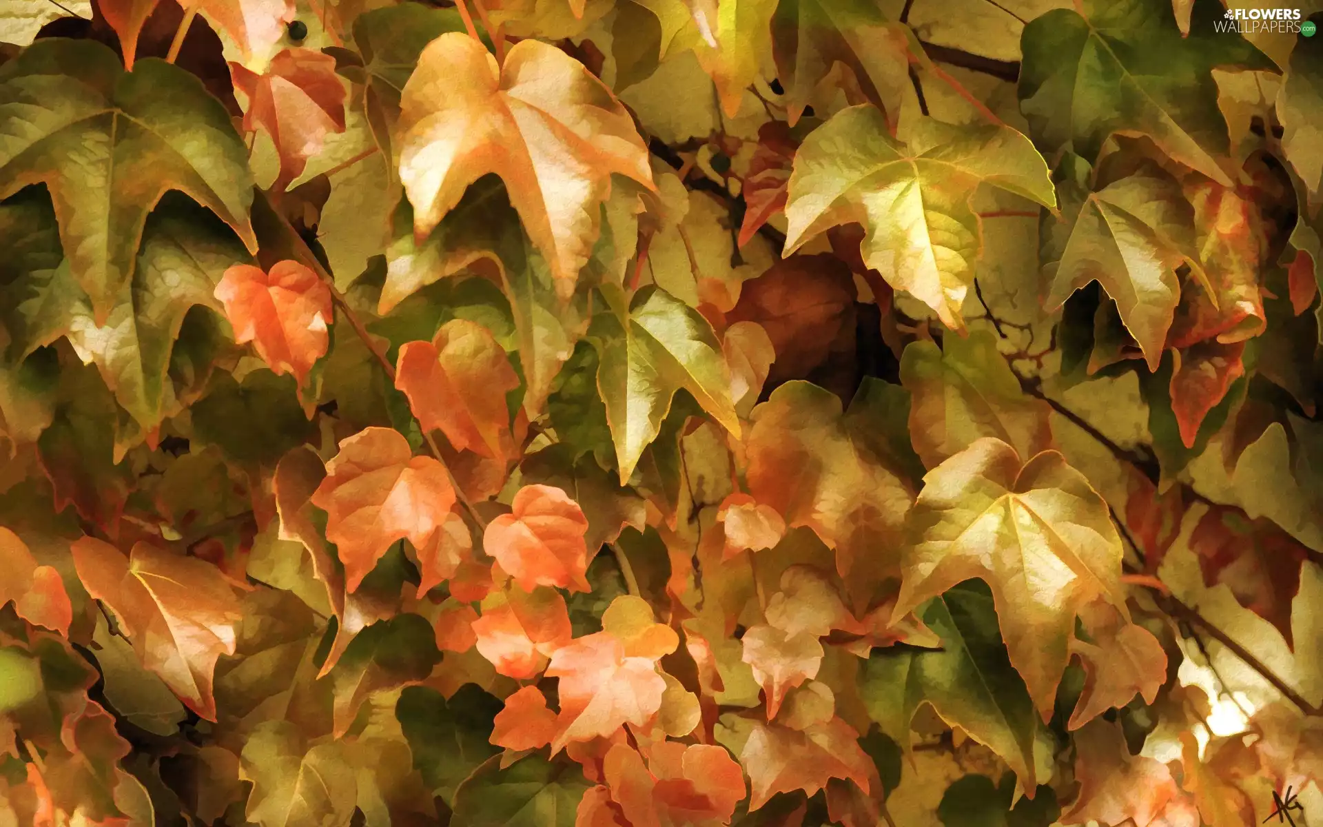ivy, autumn, Alberto Guillen, Leaf, picture