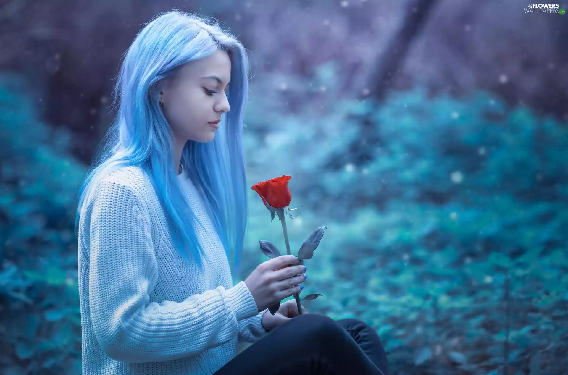 Women, Hair, rose, Light blue