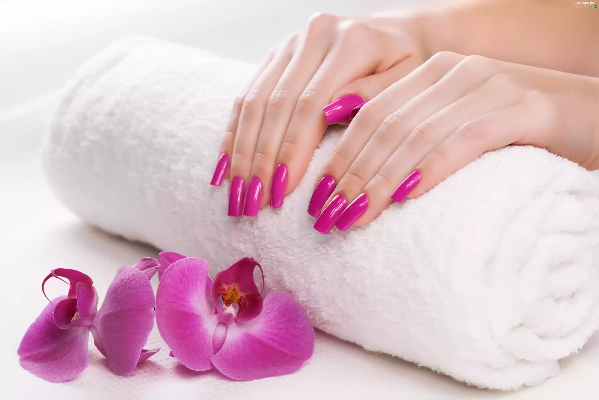 hands, orchids, Manicure