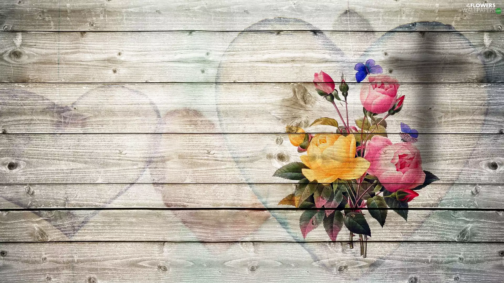 boarding, roses, graphics, heart
