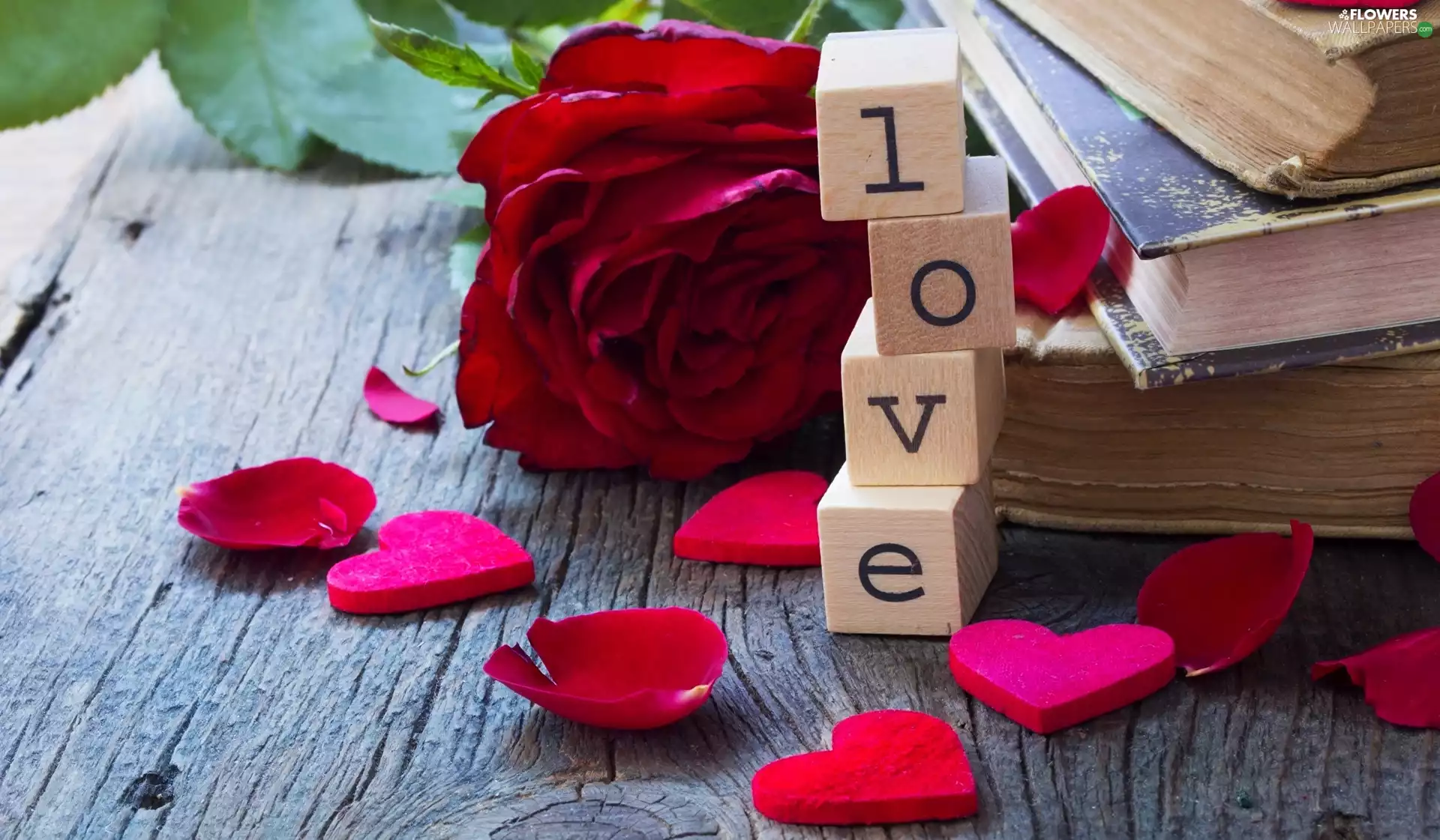 LOVE, rose, boarding, flakes, Books, text, Blocks, heart