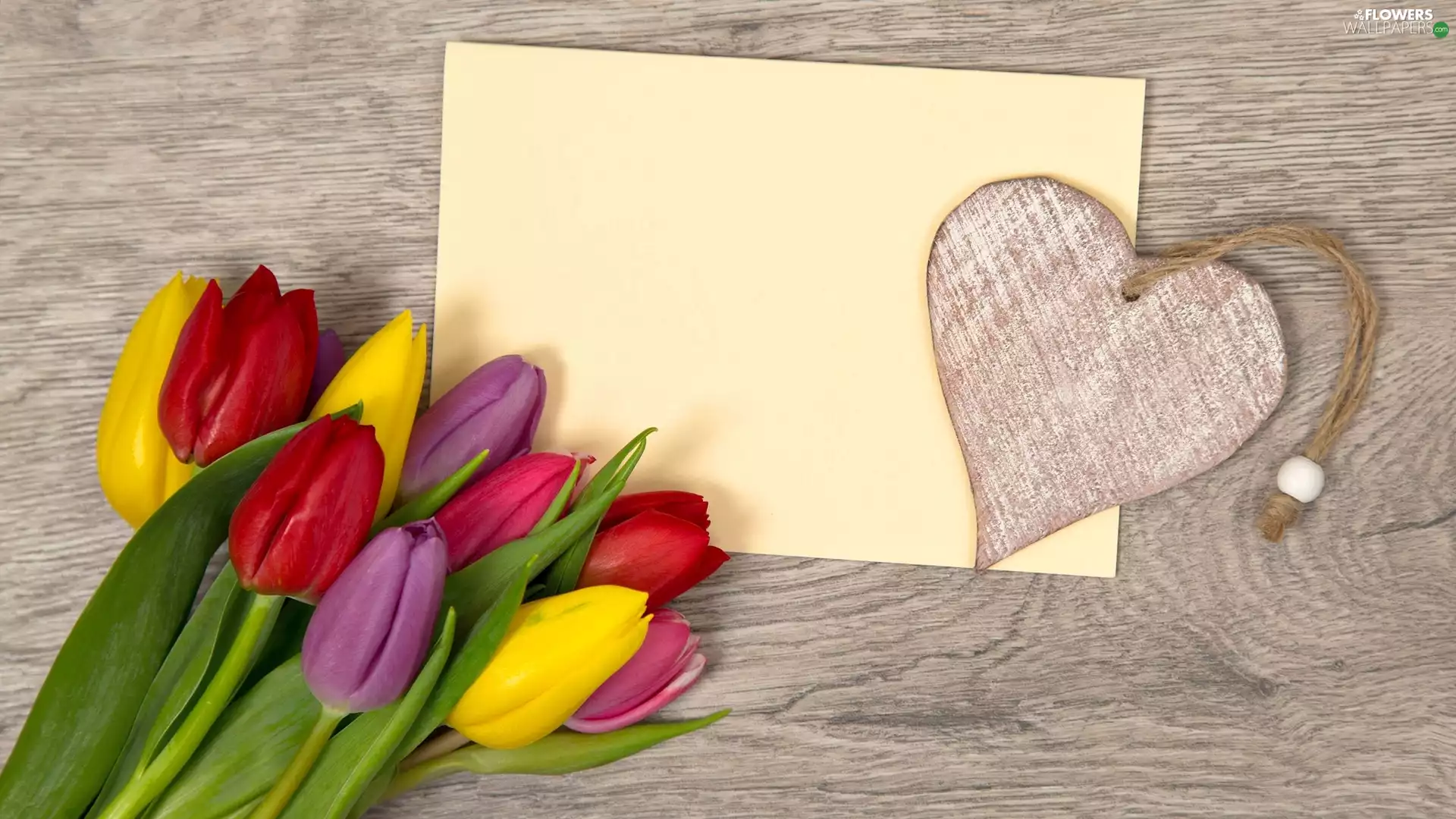 Heart, Tulips, card