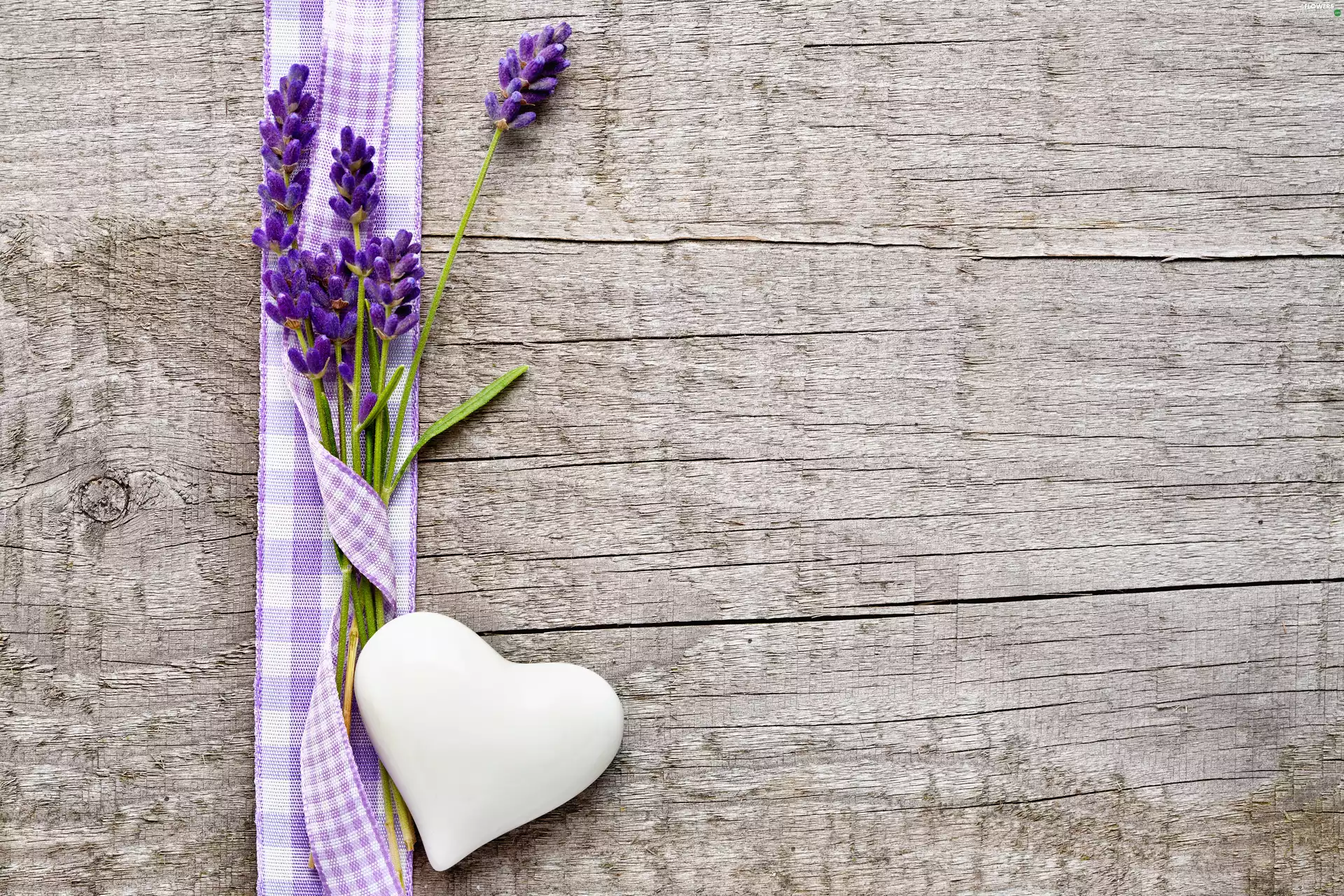 Heart, lavender