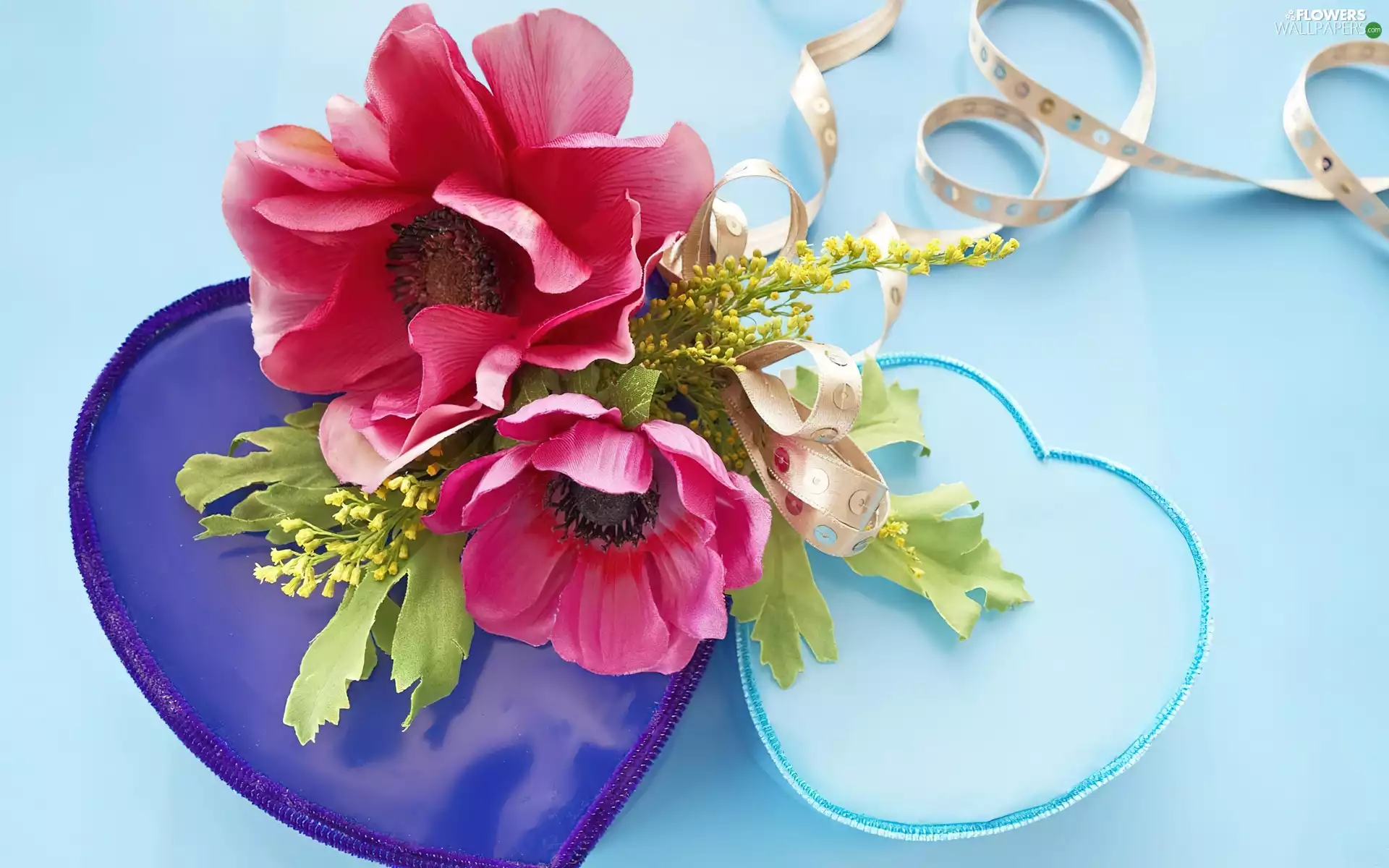 heart, Red, papavers