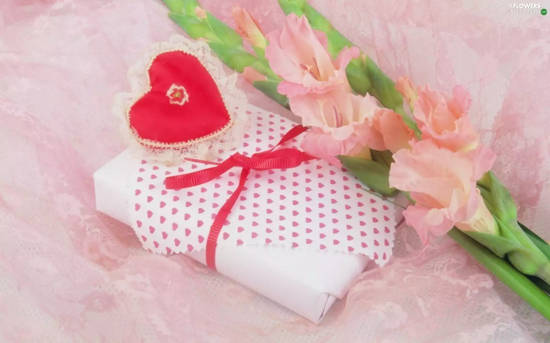 Heart, gladiolus, Present