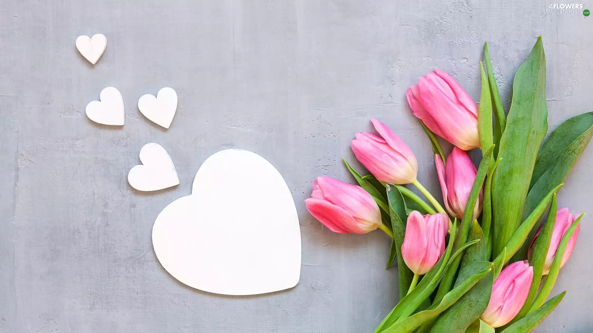 Tulips, Grey, background, heart