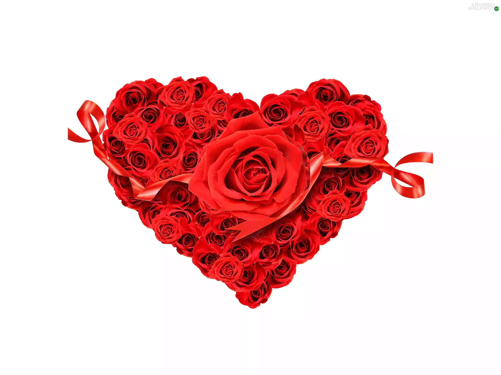 valentine, Red, roses, Heart