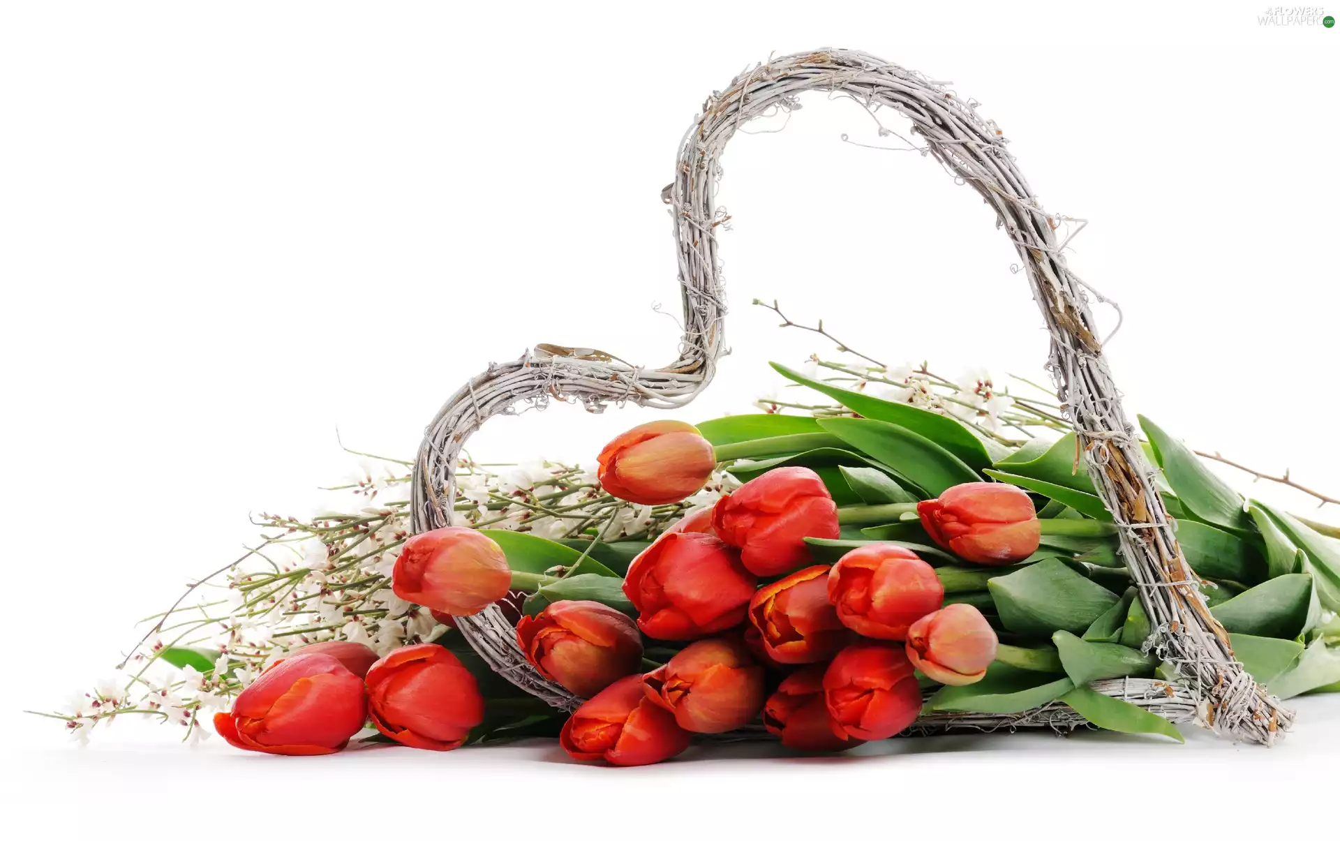 Heart, Tulips, wicker
