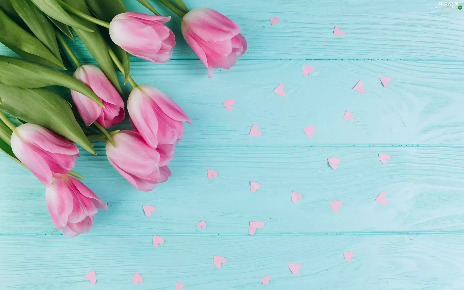 scattered, hearts, Pink, Tulips, Flowers