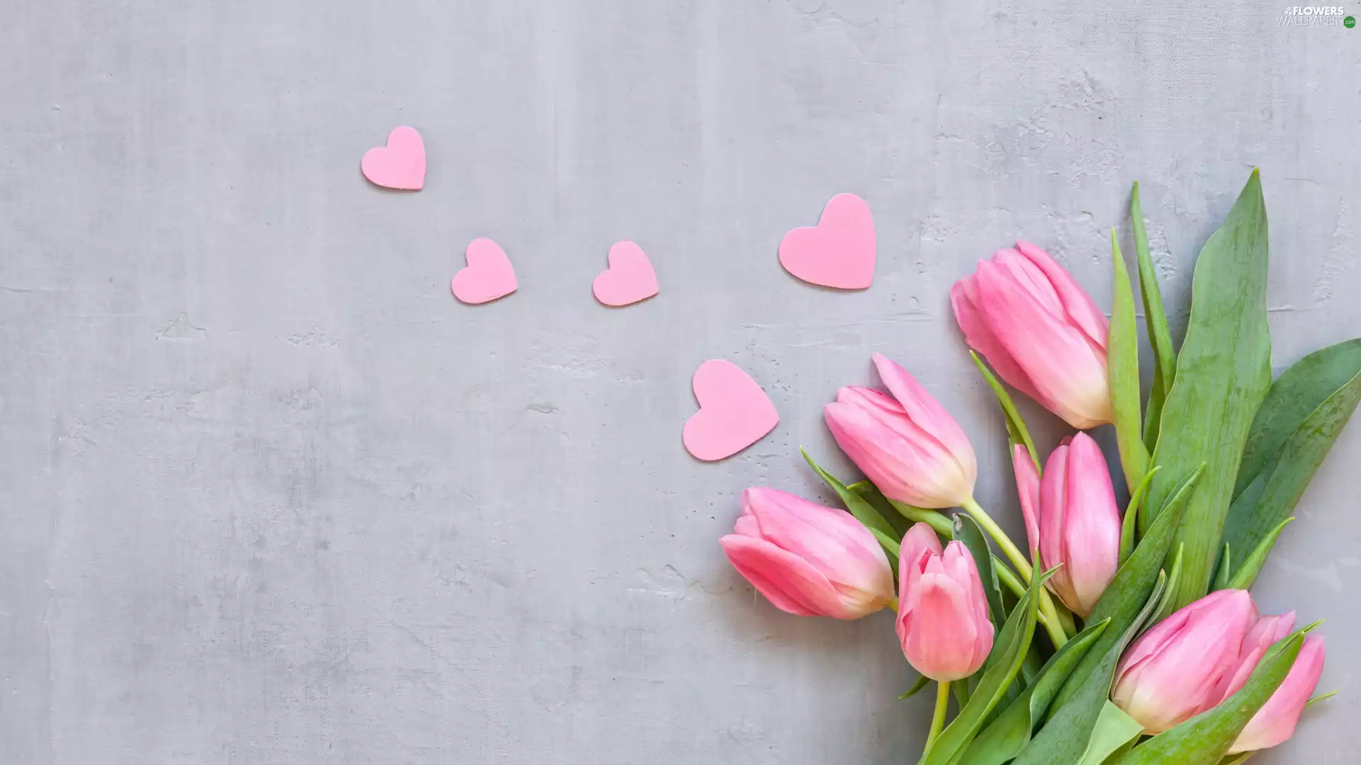 hearts, Pink, Tulips