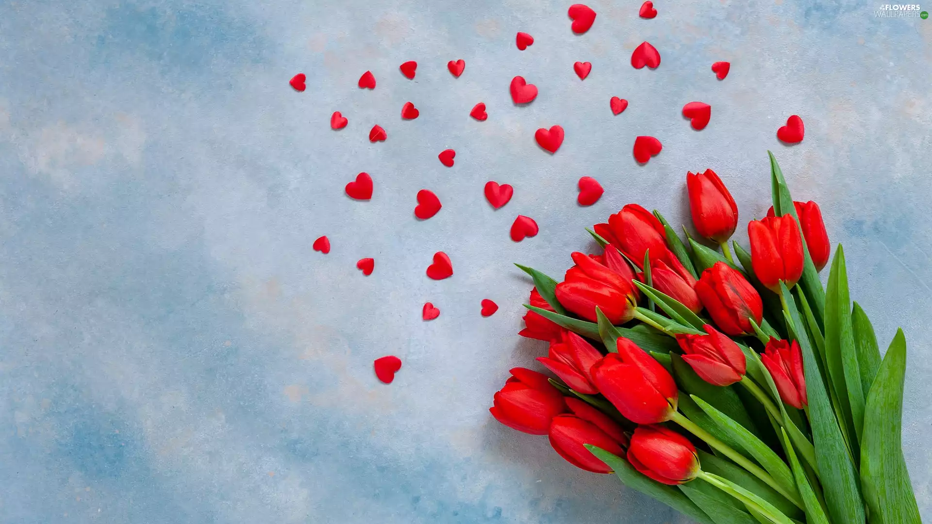 hearts, Red, Tulips