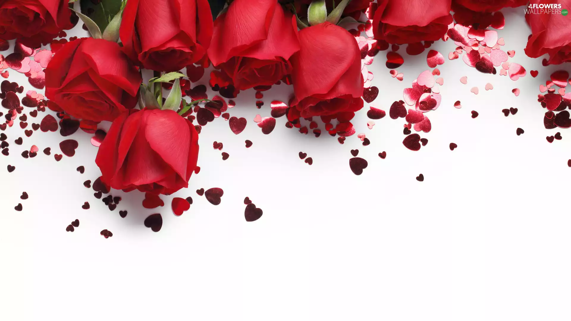 roses, hearts, white background, Red