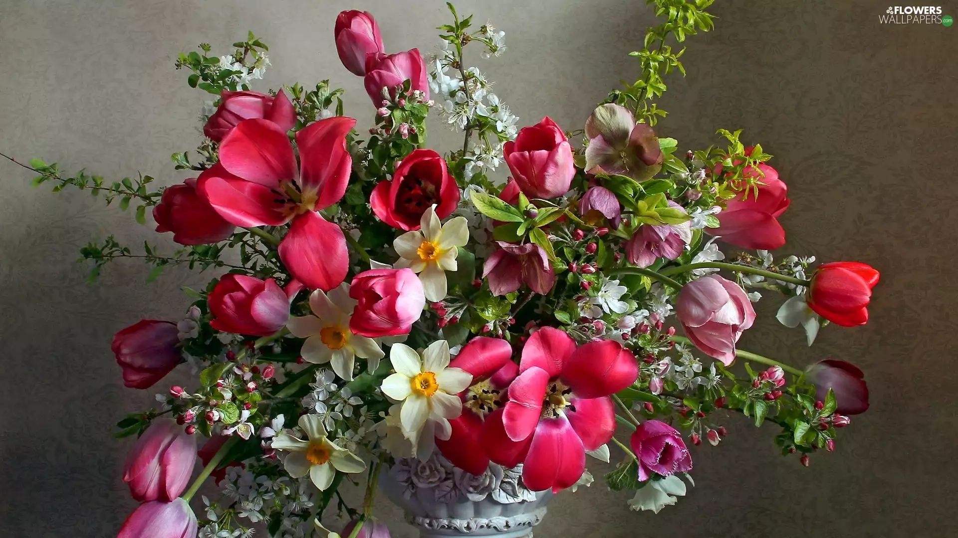 narcissus, Helleborus, bouquet, Tulips, Flowers