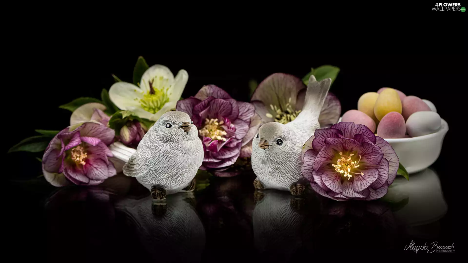Candies, Flowers, figures, Helleborus, composition, eggs, birds