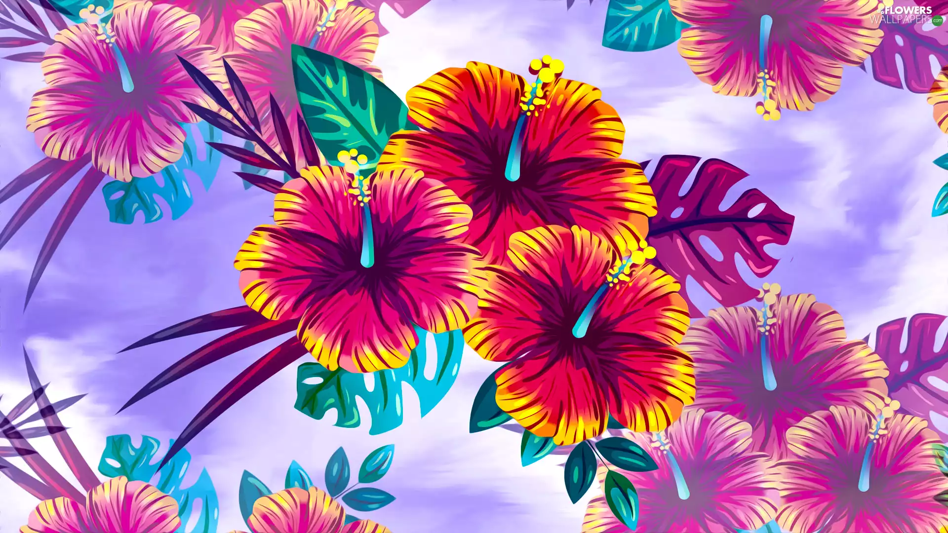 2D Graphics, Flowers, hibiscus