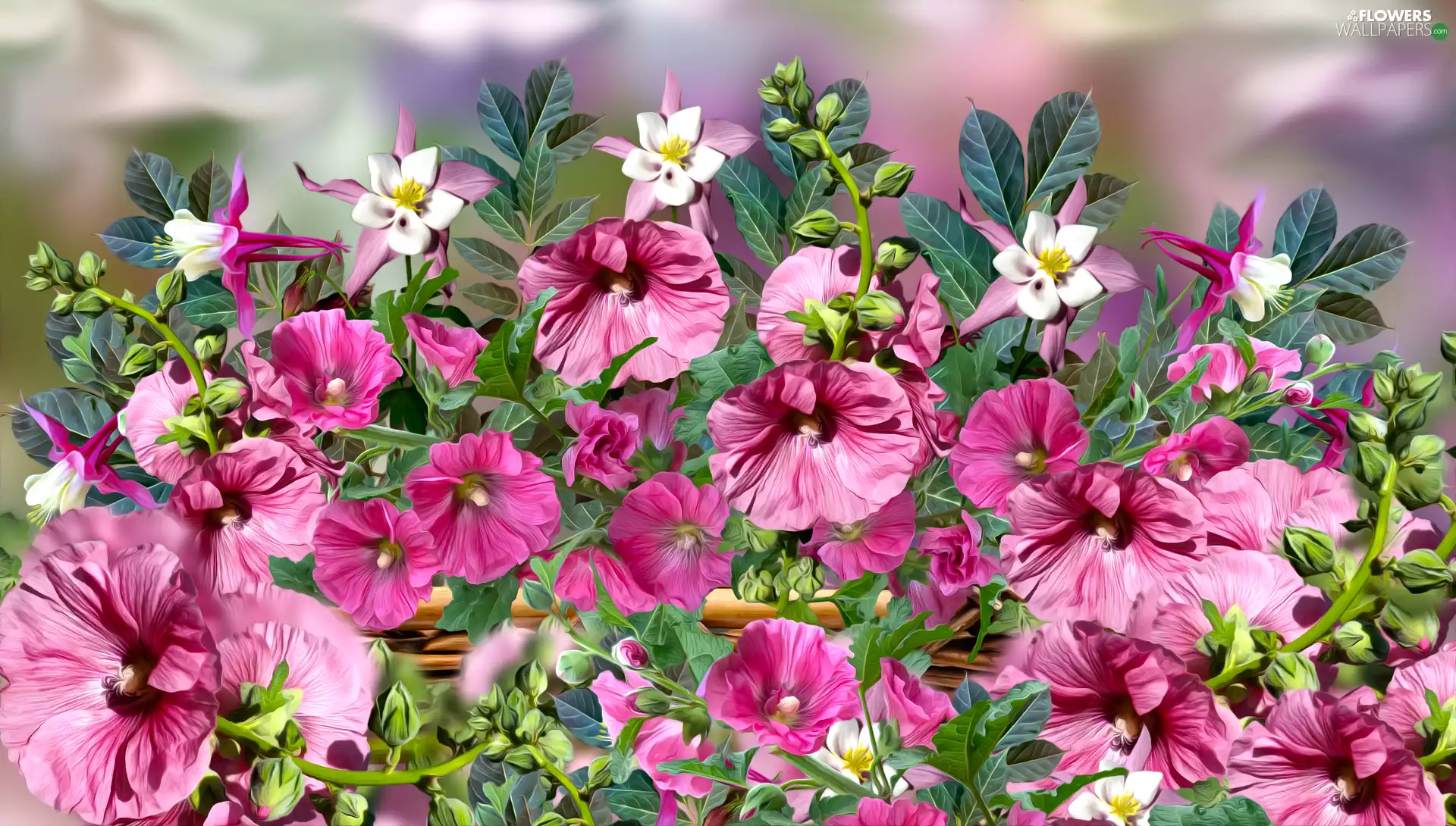 Flowers, Columbines, graphics, Hollyhocks