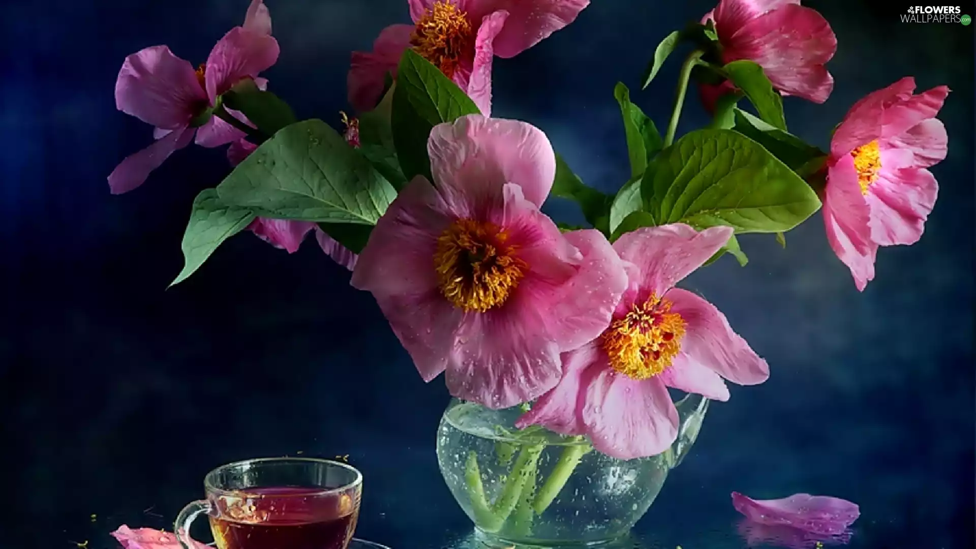 pitcher, Pink, Hollyhocks, cup