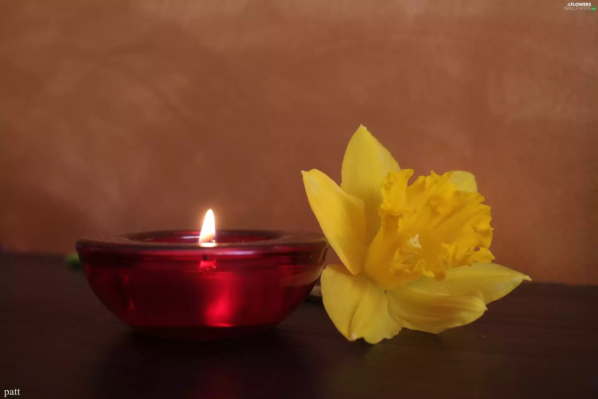 Candle, jonquil, red hot