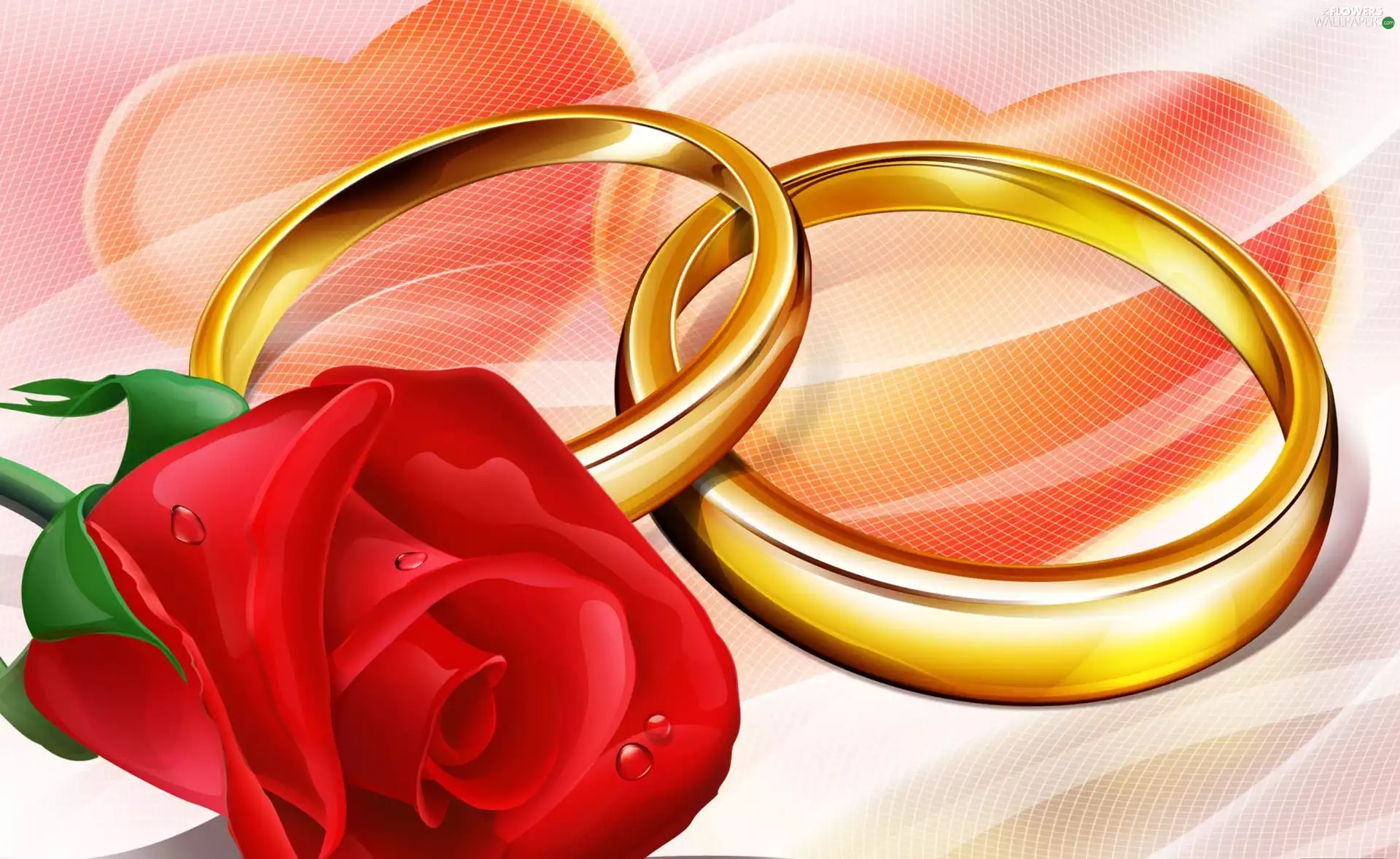 Two, rose, marriage, 2D Graphics, rings, red hot