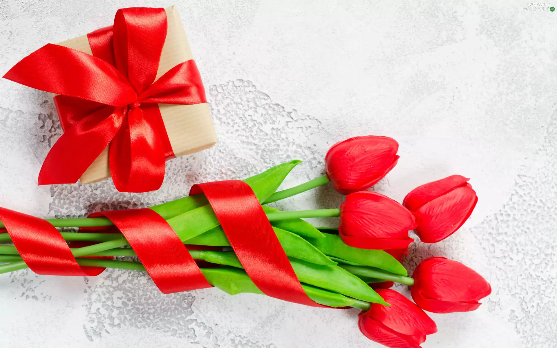 Tulips, Artificial, red hot, ribbon, Present, Red