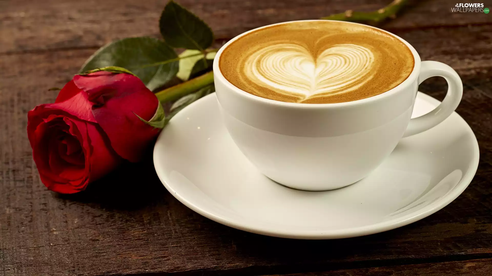 cup, coffee, red hot, rose, saucer, cappuccino