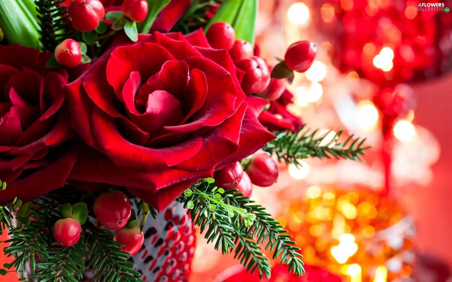 rose, decoration, red hot