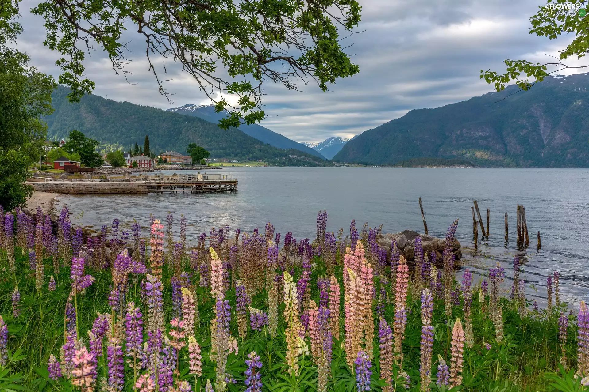 Platform, lake, viewes, Houses, Mountains, trees, lupine