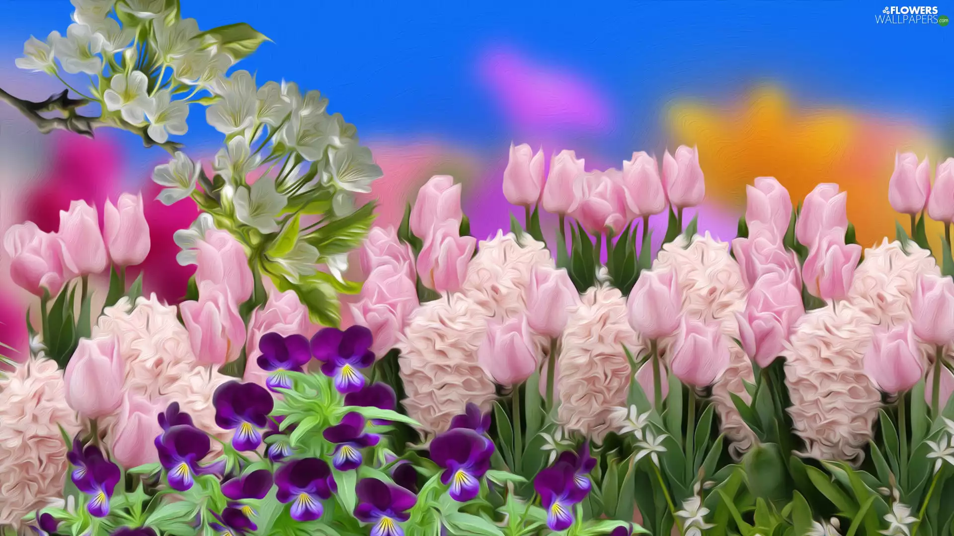 pansies, Tulips, graphics, Hyacinths, Flowers, twig, Spring