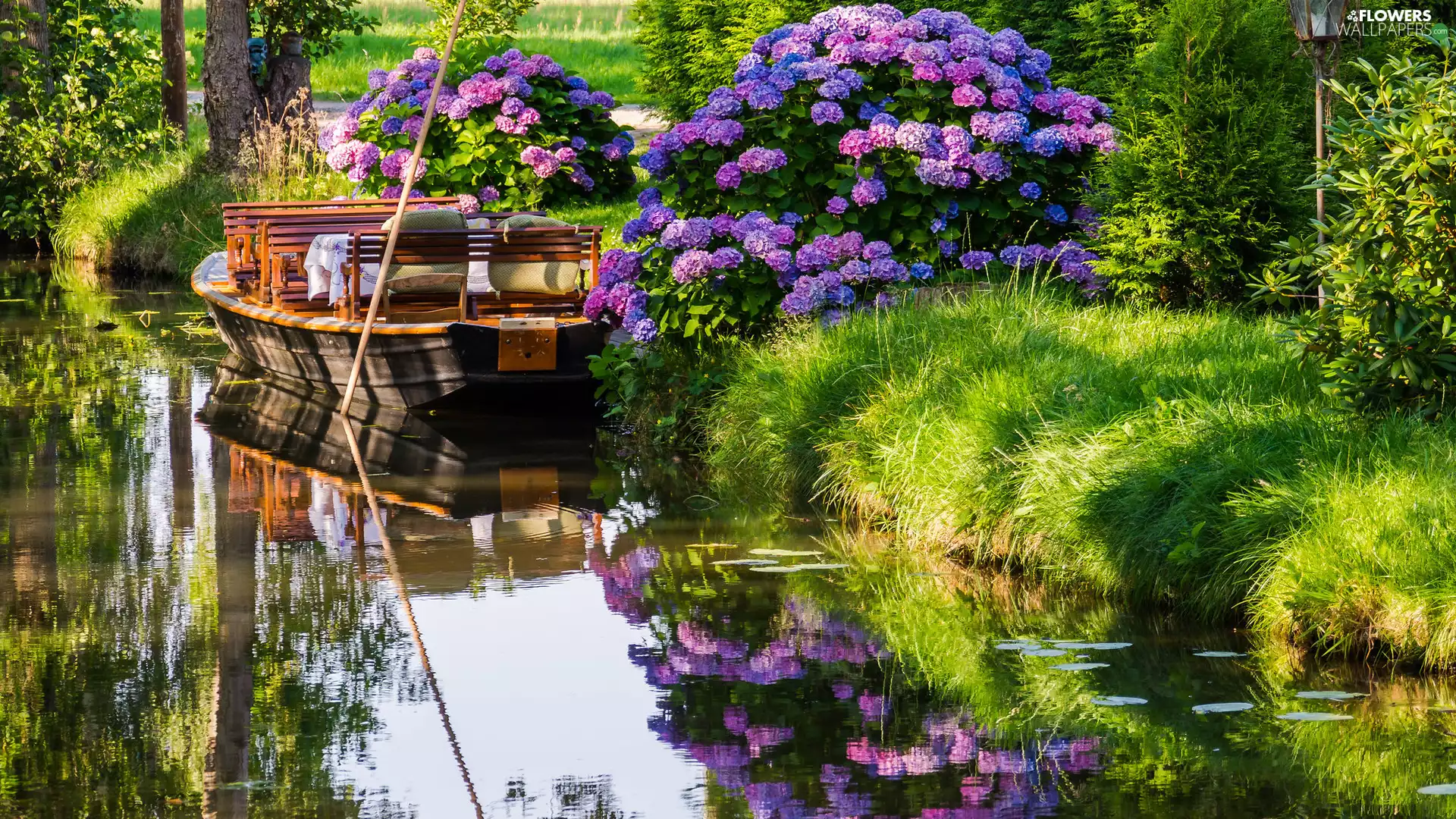 Flowers, River, Boat, hydrangea