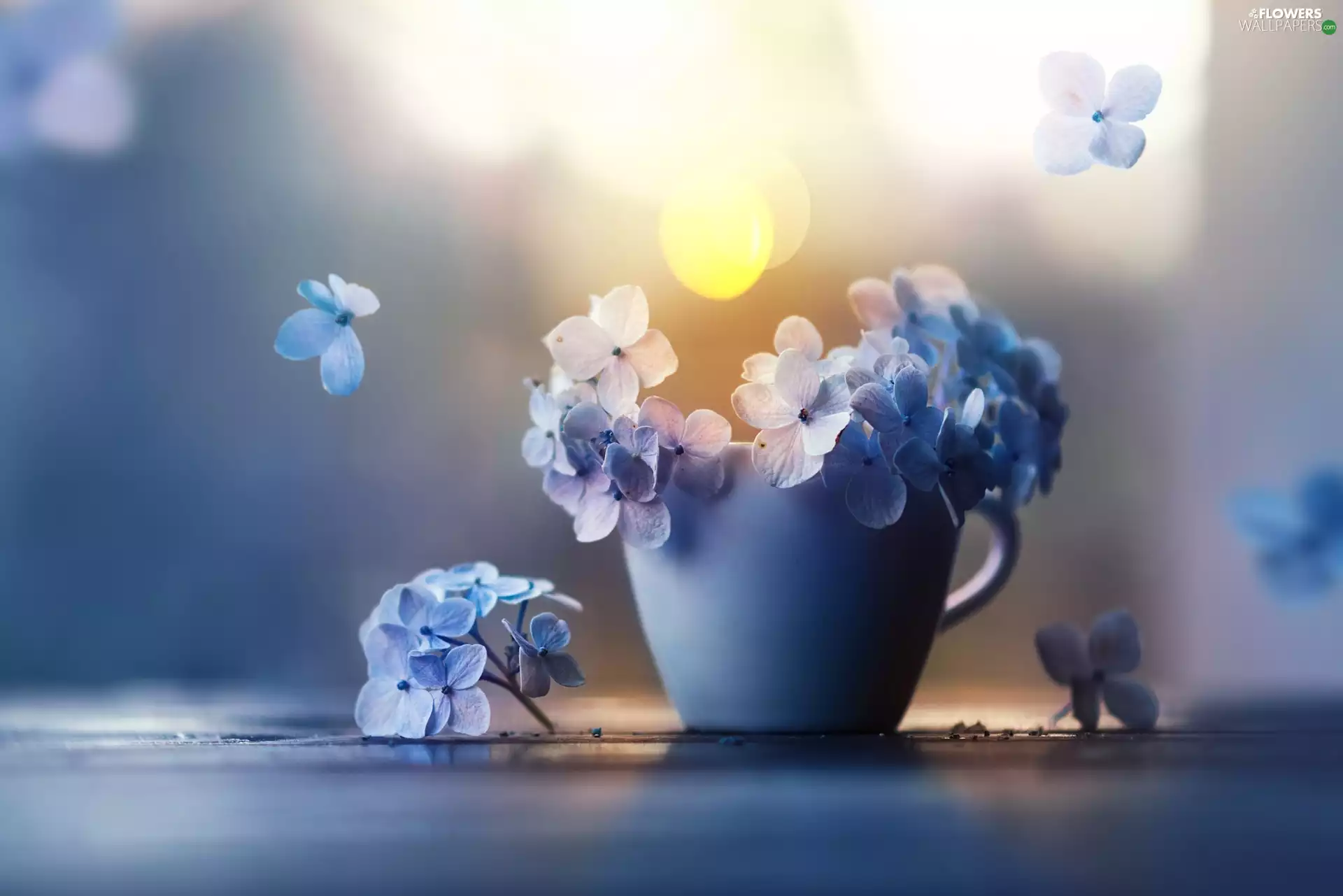 Flowers, Cup, decoration, hydrangea