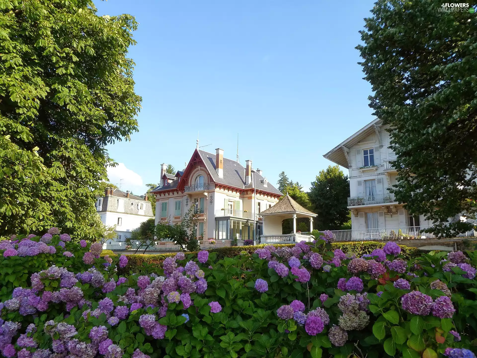 viewes, hydrangeas, house, trees, villa