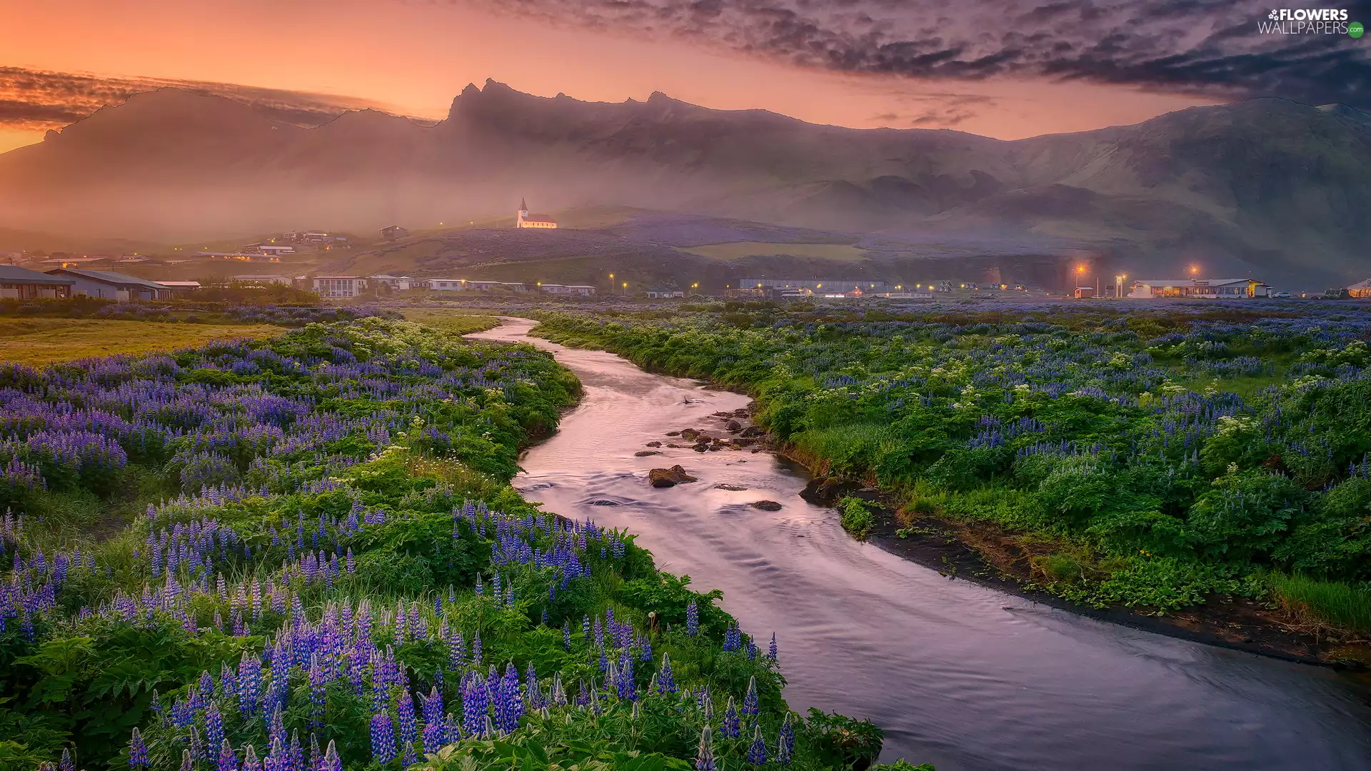 River, Mountains, iceland, Church, Myrdalshreppur Municipality, lupine, Meadow, Vík í Mýrdal Village