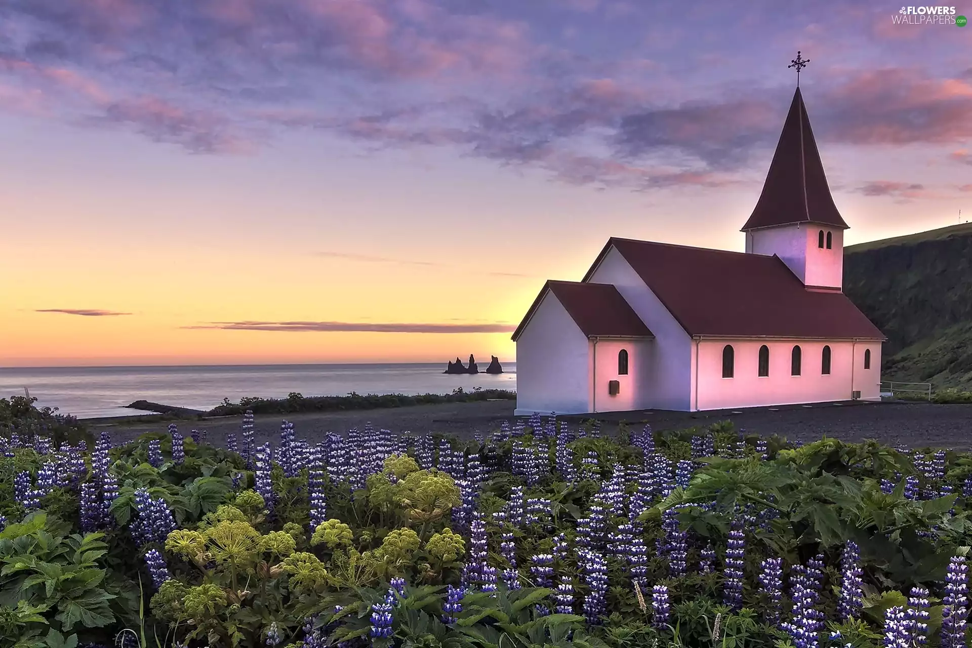 viewes, lupine, iceland, sea, Myrdalshreppur Municipality, trees, Church, Vík í Mýrdal Village