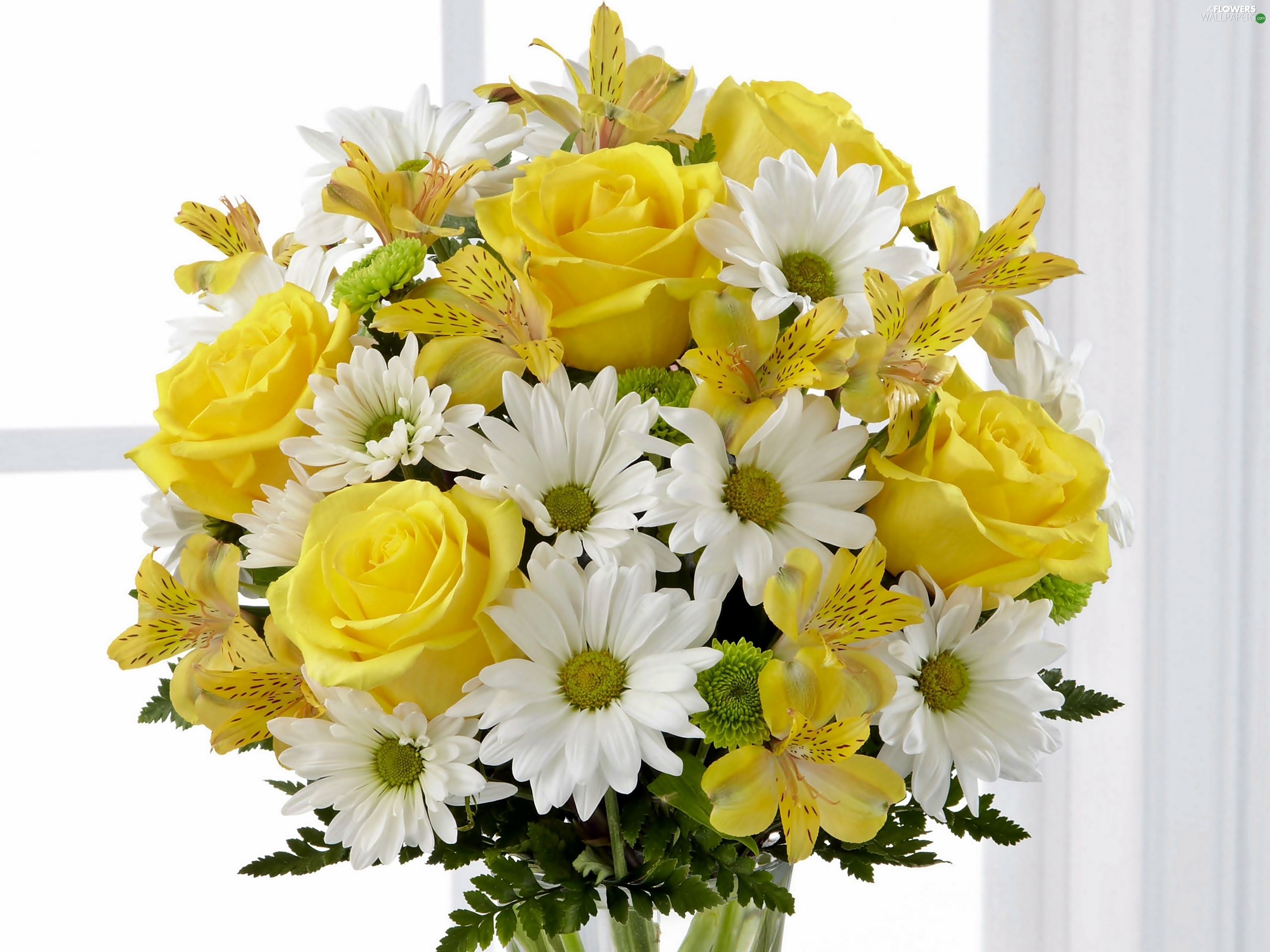 In Window, bouquet, daisy, roses, Alstroemeria, flowers