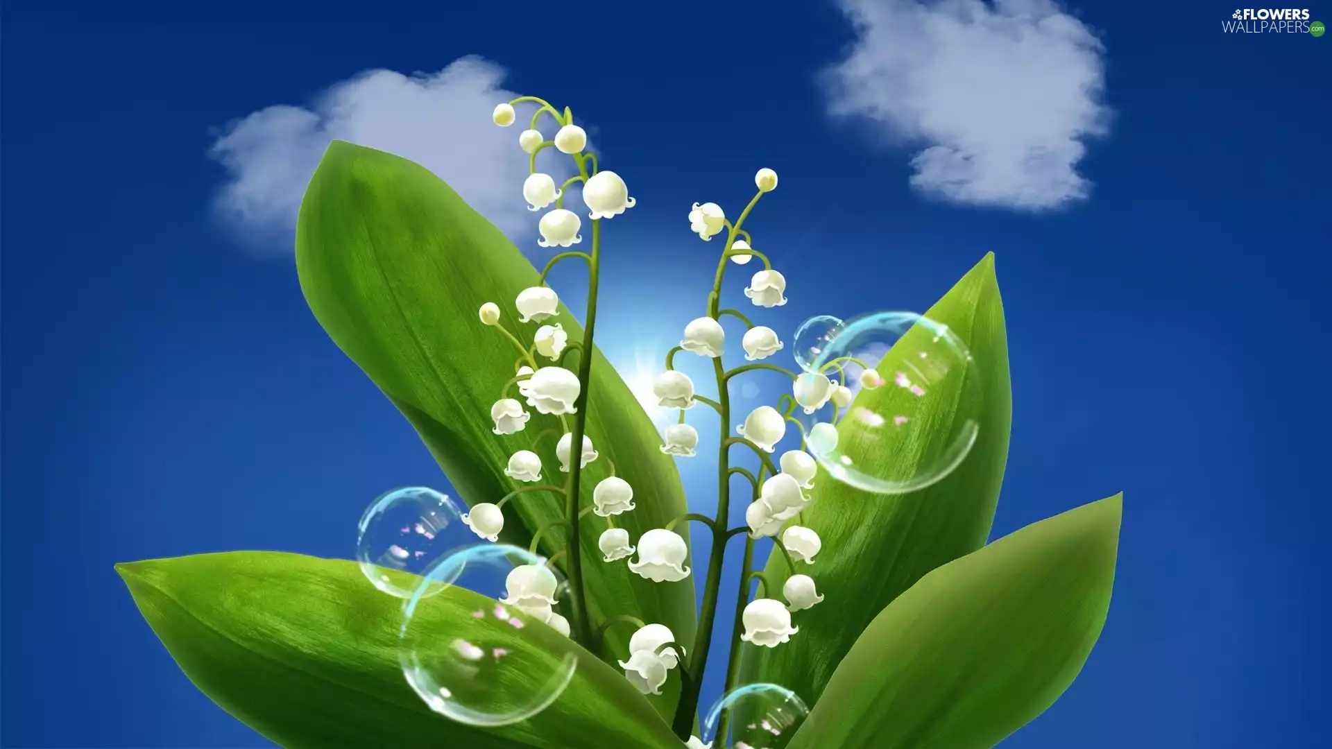 lilies, interesting eyes, soap, Sky