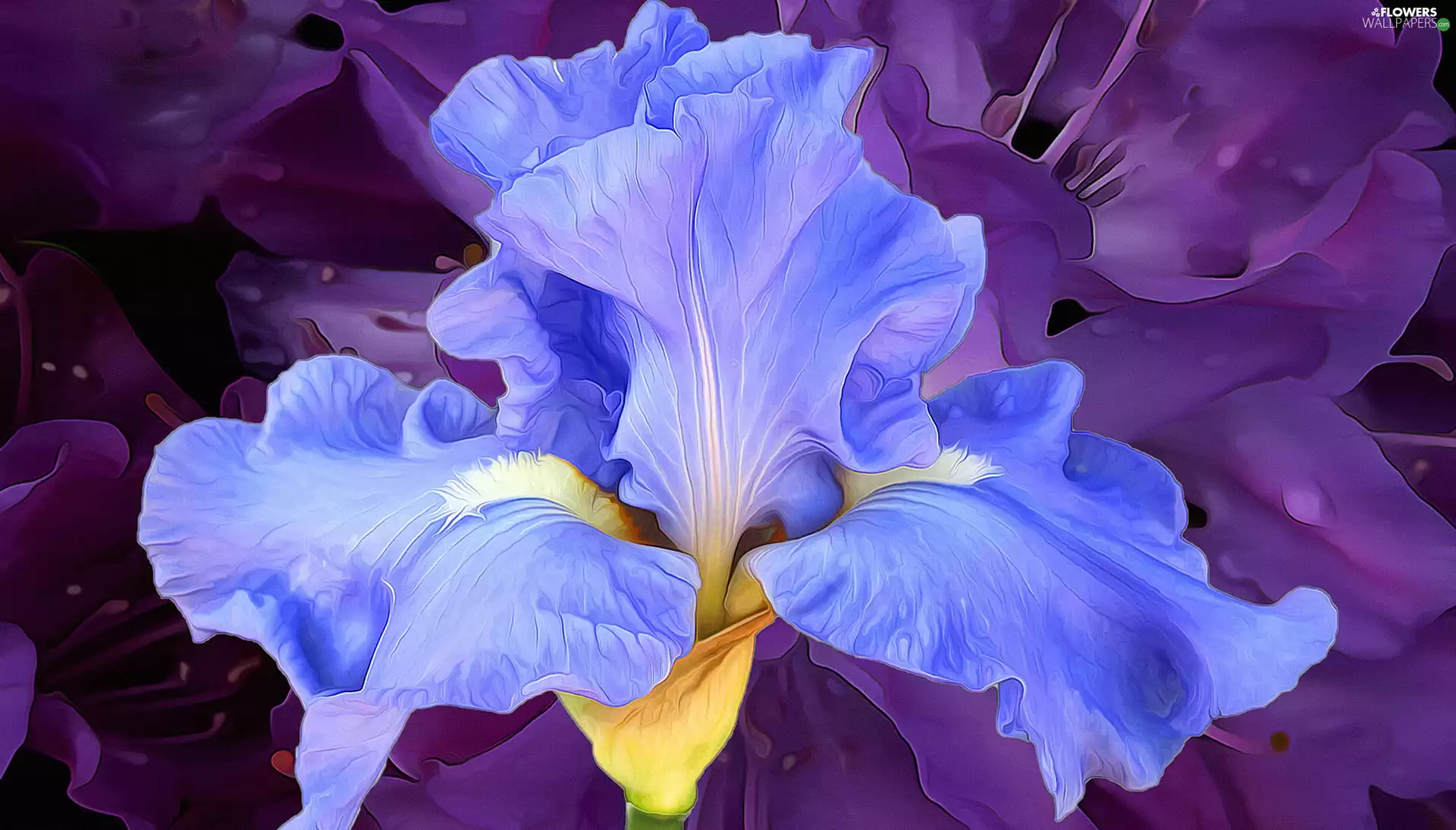 iris, Paintography