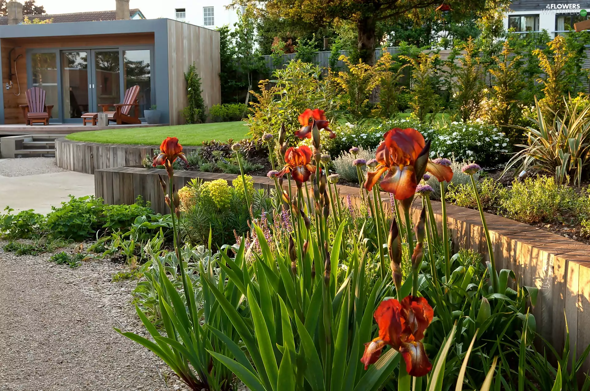 Houses, Red, Irises, Garden