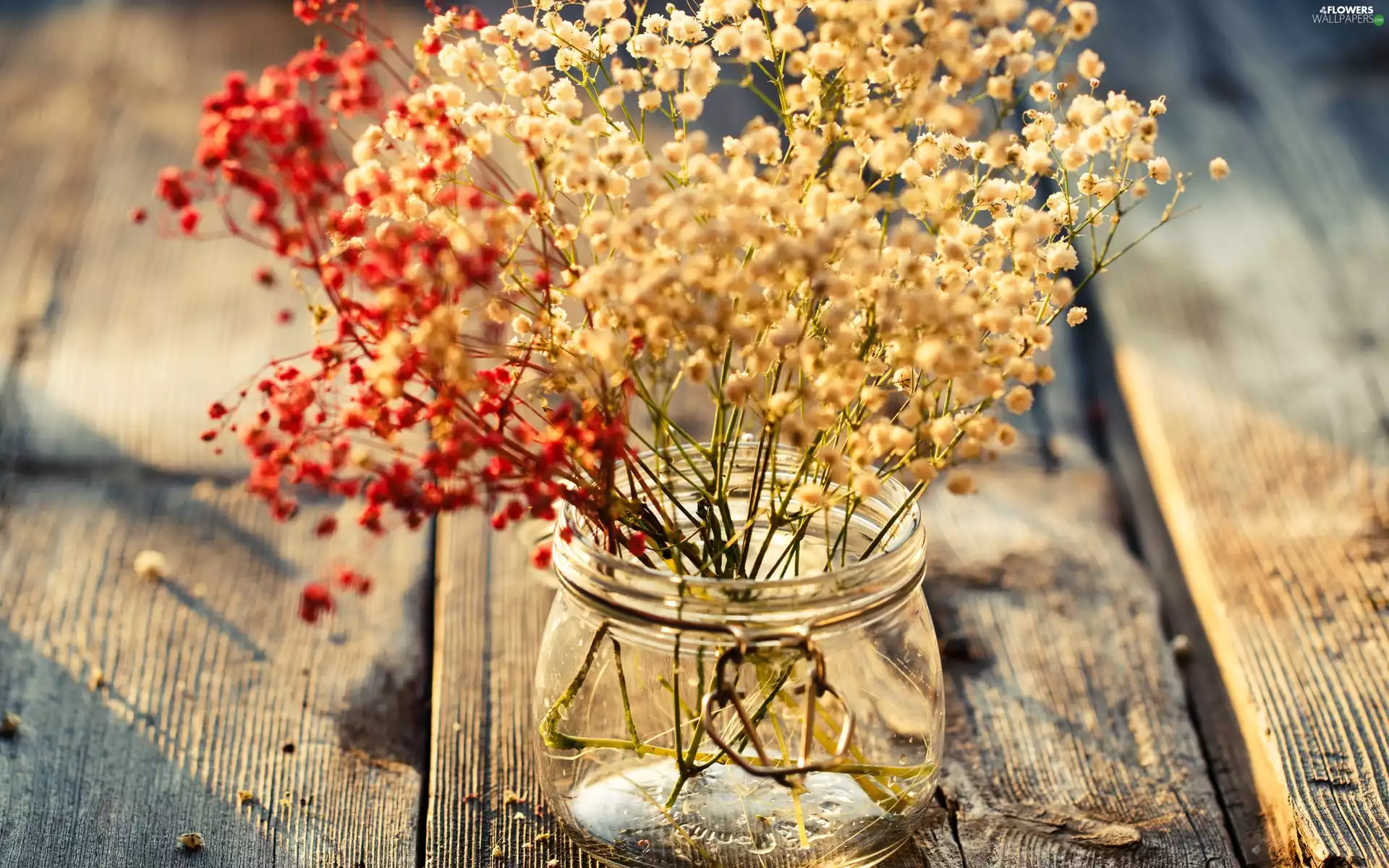 bouquet, flowers, jar, Dry