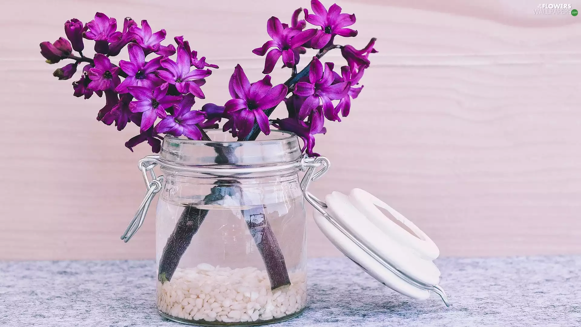 jar, Hyacinths, decoration