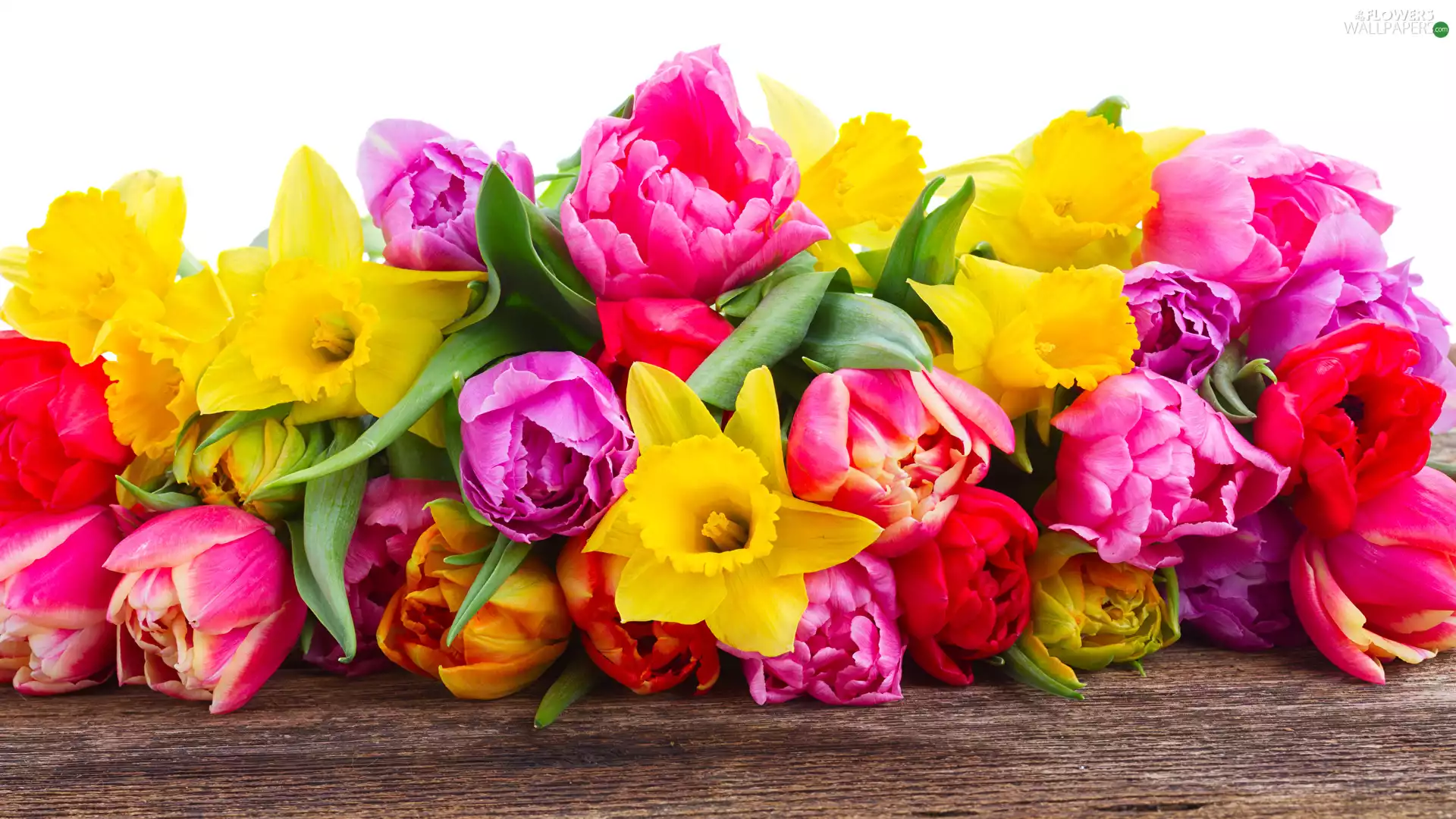 Yellow, Jonquil, Pink, Tulips, Red