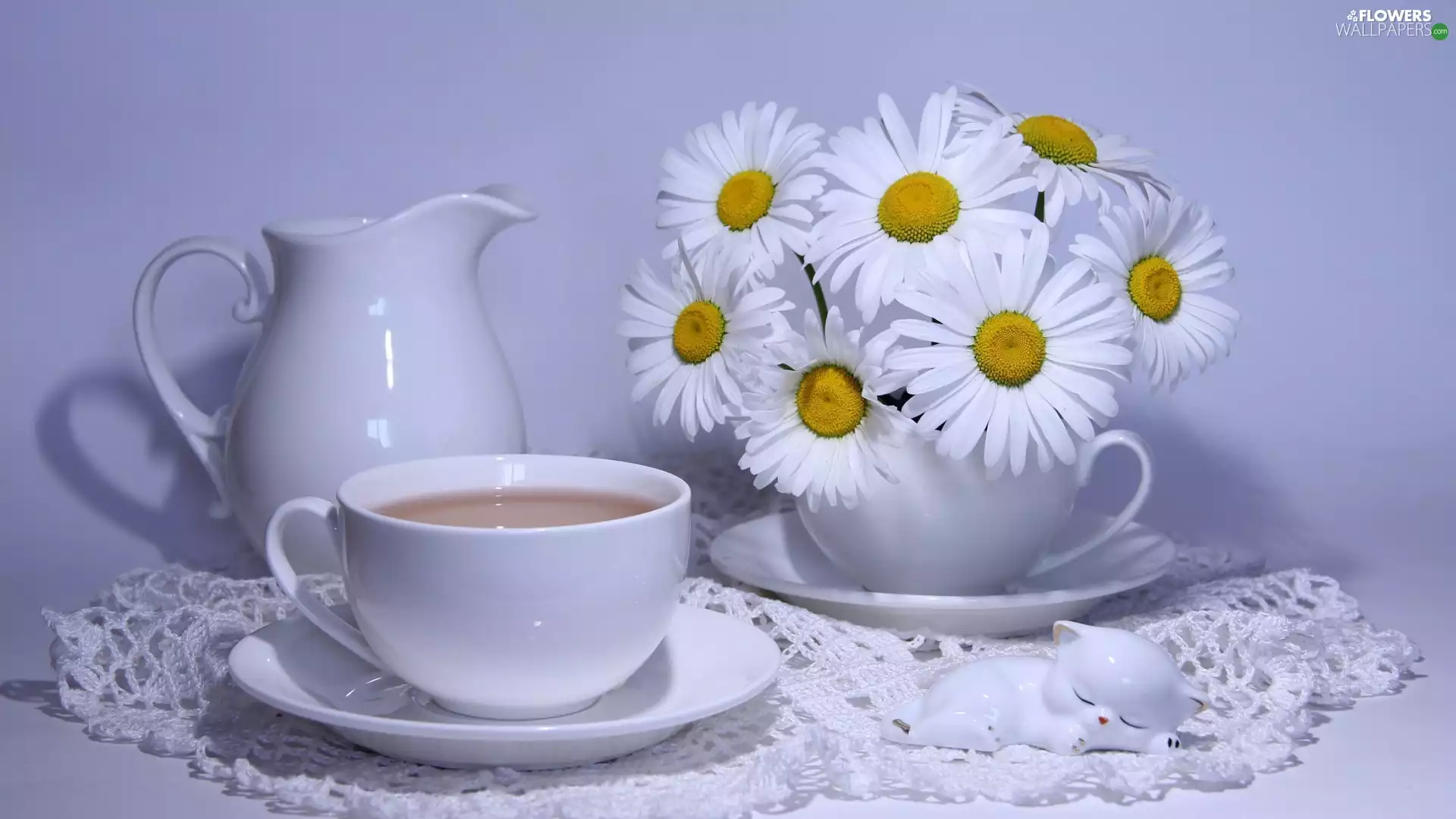 chamomile, coffee, cat, jug, composition, napkin, china