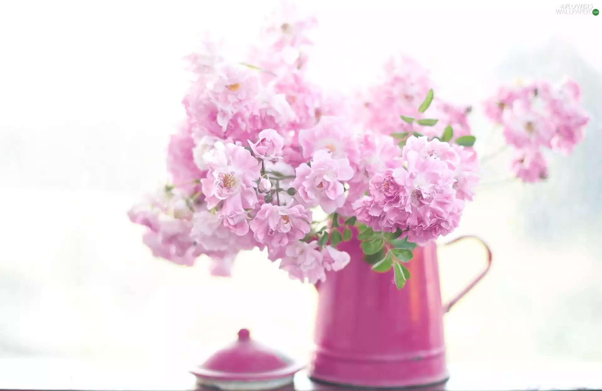 jug, Pink, Flowers