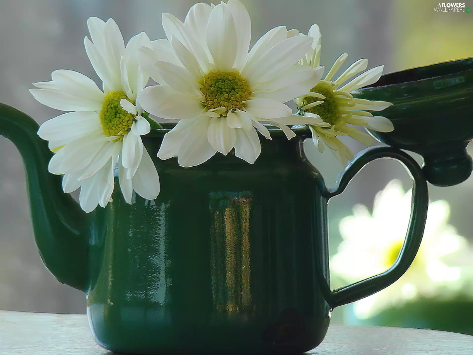 Green, White, Margaret, jug
