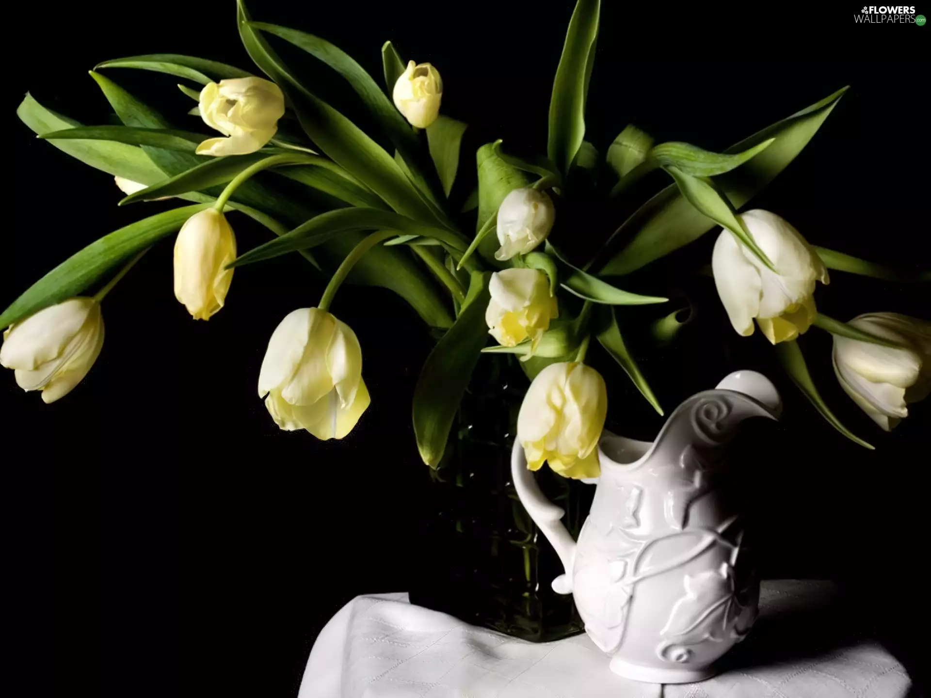 White, jug, white, tulips, bouquet
