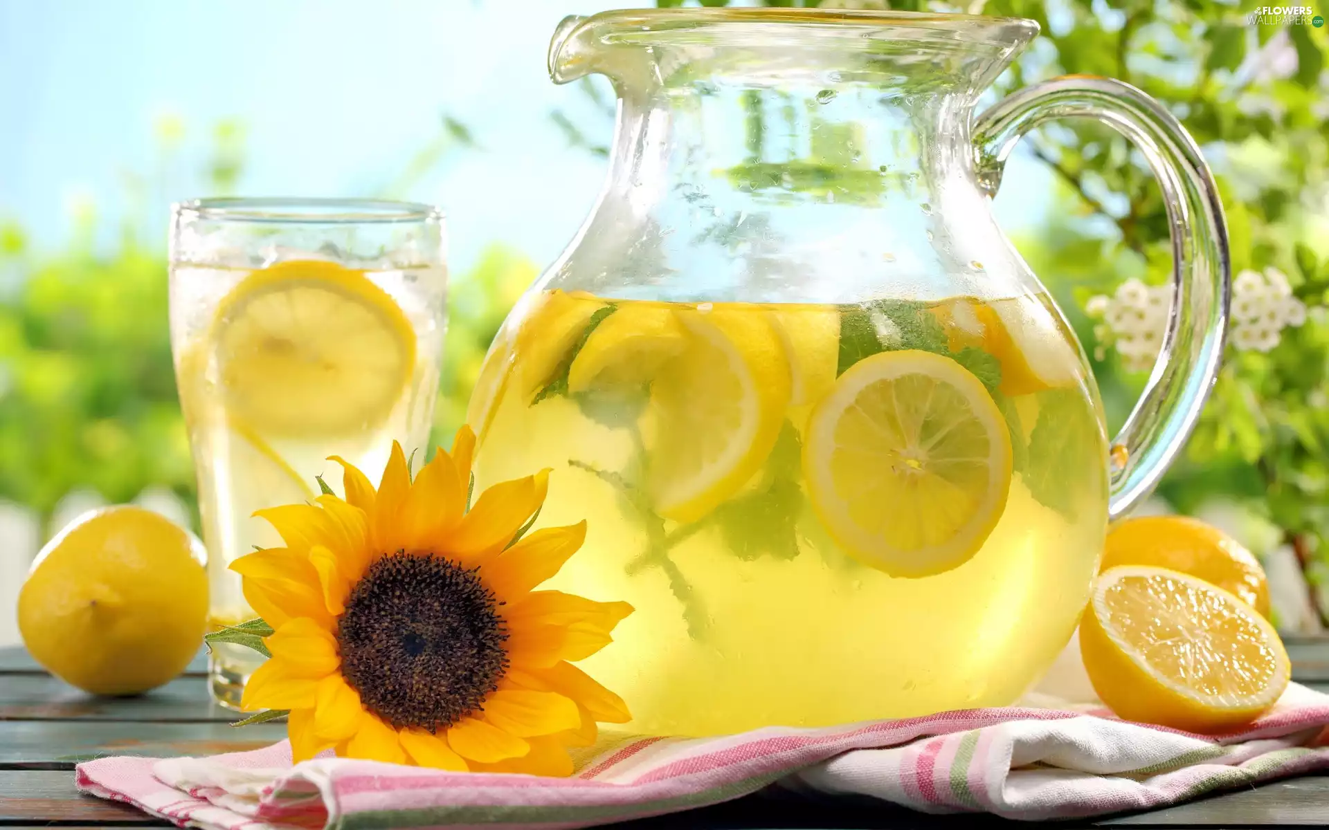 lemons, Drink, Sunflower, juice